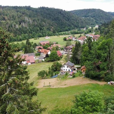 Zum Eichbuehl Daire St. Blasien Dış mekan fotoğraf