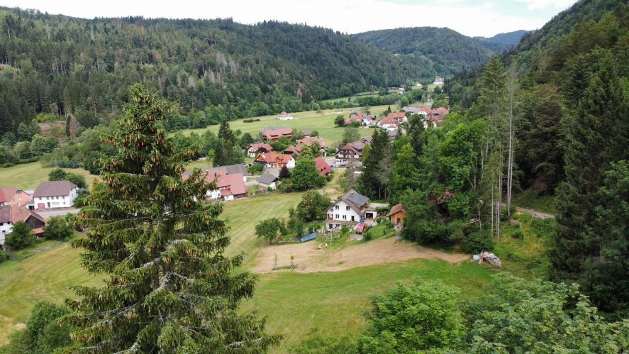Zum Eichbuehl Daire St. Blasien Dış mekan fotoğraf